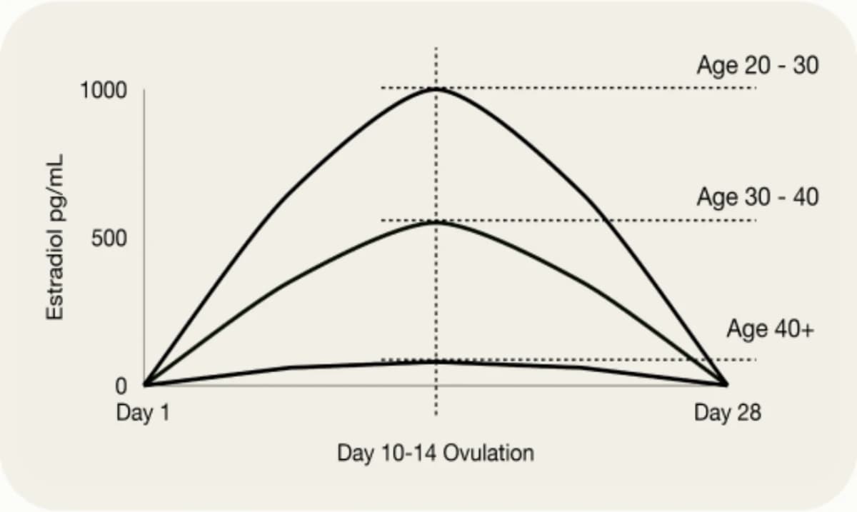 hormone_balance_graph